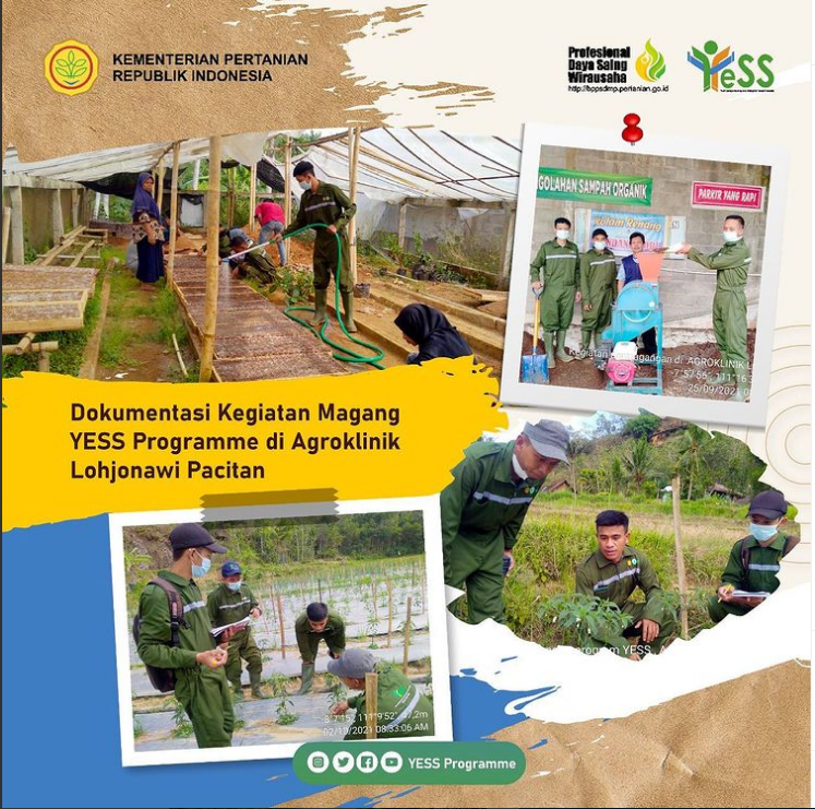 Galeri - Infografis, Dokumentasi Kegiatan Magang YESS Programme di Agroklinik Lahjonawi Pacitan, Magang,YESS