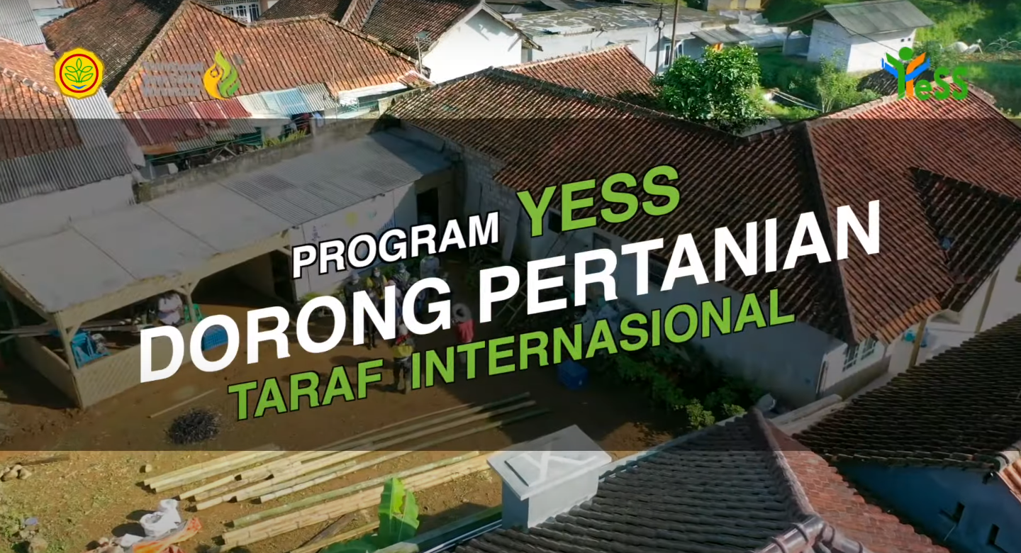News, Program YESS Dorong Pertanian Bertaraf Internasional, Program YESS,Kementan