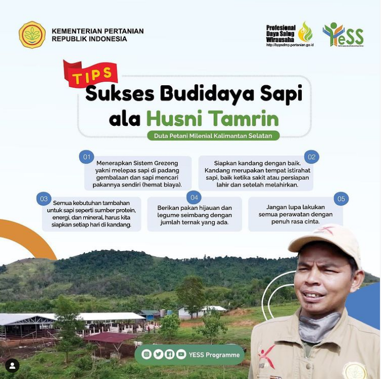 Galeri - Infografis, Tips Sukses Budidaya Sapi ala Husni Tamrin, Sukses Ternak,Ternak Sapi,Kalimantan Selatan