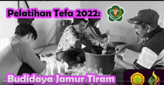 Galeri - Video, Pelatihan Tefa 2022: Budidaya Jamur Tiram, BPPSDMP,YESSkalsel,TEFA,SMK-PP N Banjarbaru