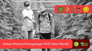 Galeri - Video, Kesan Pemagangan Program Yess 2021 di P4S Patra Mandiri, Program YESS,Pemagangan Bersetifikat,Kalimantan Selatan,SMK-PP N Banjarbaru