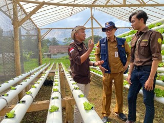 News, Regenerasi Petani, Alumni Pelatihan Smart Farming Kementan Lakukan Resonasi di Tasikmalaya, IPAD,Program YESS,kementerian pertanian,BPPSDMP,Polbangtan Bogor