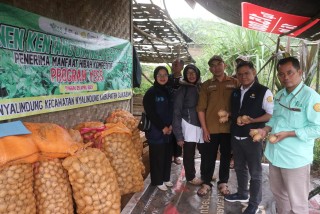 News, Sukses Budidaya Kentang, Milenial Sukabumi Jadi Inspirasi Petani Muda, IPAD,Program YESS,Kementrian Pertanian,BPPSDMP,Polbangtan Bogor